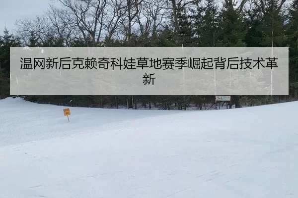 wen-wang-xin-hou-ke-lai-qi-ke-wa-cao-di-sai-ji-jue-qi-bei-hou-ji-shu-ge-xin-3-329.jpg