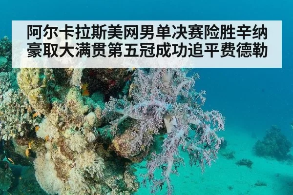阿尔卡拉斯美网男单决赛险胜辛纳豪取大满贯第五冠成功追平费德勒